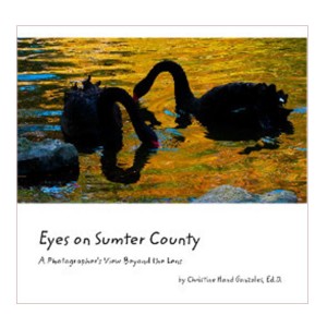 eyes on sumter with border